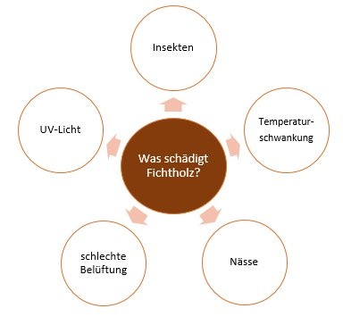 Übersicht Umwelteinflüsse auf Fichtholz