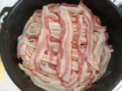 DO Bacon Abschluss