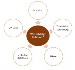 Was schädigt Fichtholz