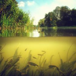 Schwimmteich im Querschnitt oberhalb und Unterwasser